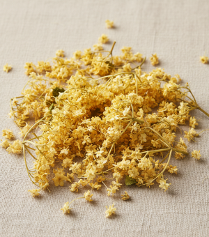 domač zeliščni čaj bezeg