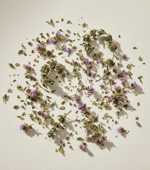 domač zeliščni čaj proti prehladi in kašlju za dojenčke in otroke materina dušica